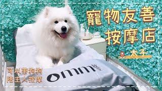 放狗好去處｜香港寵物友善按摩店，可以帶狗狗陪自己按摩｜OMM 放空｜西摩犬Tako｜@big_dog_channel