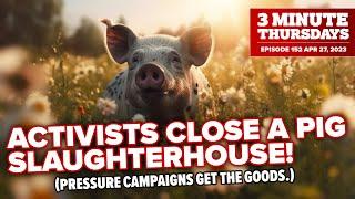 Activists CLOSE A Pig Slaughterhouse (or How Pressure Campaigns & Outreach Work Together)