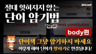 영어 INPUT의 정석: "명사"가 아니라 "명사구"로 입력하라 [body편]