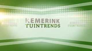 Kemerink Tuintrends en Tuinartikelen Online regio Enschede