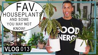 Houseplant Trends 2022 : My FAV! Houseplants and Some You May Not Know (VLOG 012) #BestHouseplants