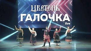 Цветень - Галочка (live)