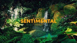 SENTIMENTAL Riddim | Reggae Roots Island Romantico Beat Instrumental | romantic Love Type | 2023