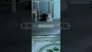너네들 고기먹고 건강하자 #감사합니다 #50대 #브이로그