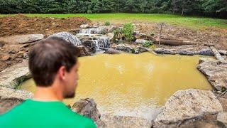 The Aftermath of the Giant Ecosystem Pond