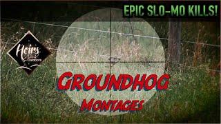 Groundhog Kill Compilation 2022 | Classic Groundhog Hunting | "Hogtage" - Heirs to the Outdoors