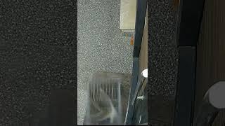 Crazy cat #cats #catshorts #funnyshorts #catseating #catslover #cattrap #funnymoments #catvideos