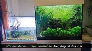 Juwel Lido 120 und das Problem mit "aus alt mach neu" #aquaristik