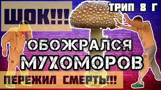 Осторожно!!! Бед Трип на Мухоморе. ШОК Контент 18+