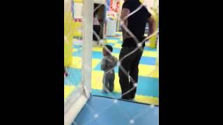 Jumper and slide at Hop 'n Play