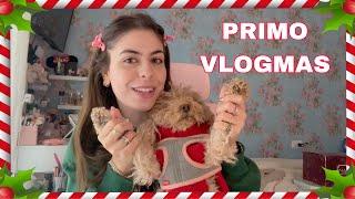 INIZIANO I VLOGMASS !!‍