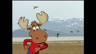 Adventures of Monty the Moose Amazing Alaska Animals