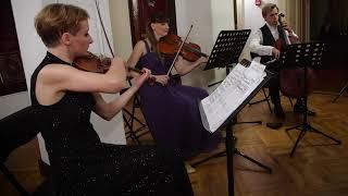 Bach Invention (Sinfonia) D major BWV 789, string trio (Staskiewicz/Budnik/Zdunik)