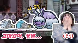 기억할게!!!! (산소미포함,oxygen not included)