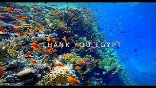 Egipt - dziękujemy | Hurghada, snorkeling, Luksor