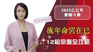 乙巳年流年命宮在巳｜2025流年運勢｜十二組流年命盤｜紫微斗數十四主星組合｜機梁紫陰｜蛇來運轉