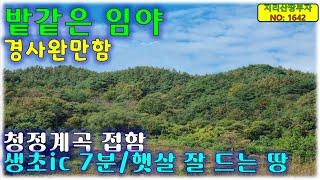 밭같은 임야!! 경사 완만+계곡 낀 산청군 임야 매매/산청부동산,산청군부동산,산청임야매매,산청군임야매물,함양임야매매,함양군임야매물,거창임야매매,거창군임야매매