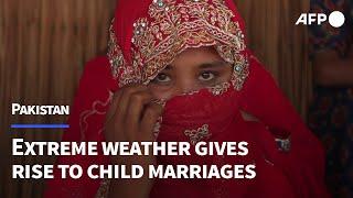 Pakistan's monsoon brides: Extreme weather gives rise to child marriages | AFP