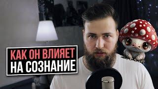 КАК РАБОТАЕТ МИКРОДОЗИНГ МУХОМОРА? (МОЙ ОПЫТ)