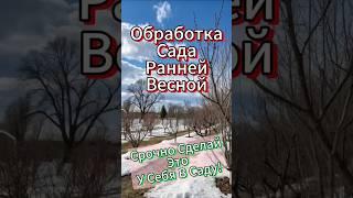 Весенняя Обработка Сада: Защита От Болезней и Вредителей – Простые Шаги К Богатому Урожаю!
