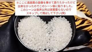 市販で一番高い米 新潟県魚沼産のコシヒカリvs安い新潟県のコシヒカリご飯にして食べ比べてみた!味の違い どんな味?同じ味説 #金鬼食品レビュー 調べてみた #金鬼実験検証シリーズ JA産地偽装問題