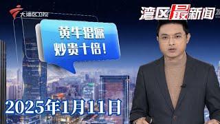 【湾区最新闻】华仔演唱会“黄牛”炒票贵十倍 立法会议员呼吁实名制|“香港熊猫专列”上线 港人搭车来穗睇熊猫|珠海横琴赴澳签注政策实施后 澳门周末客量增长明显|20250111完整版 #粤语 #news