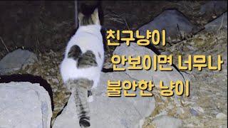 구조 실패후 오랫만에 만난 이마~오늘도 수염인 애교쟁이를 애타게 찿고 있습니다