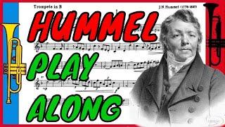 Hummel - Trumpet Concerto: I. Allegro con Spirito (Accompaniment, Play along, Backing track)