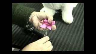 How to place bows that actually stay in with Melissa Verplank