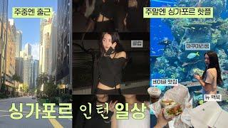 sub) 회사 사람들은 보면 안 되는 해외 인턴 일상 브이로그: 점심때 싱가포르 맛집 가기, 파파가 사준 새 맥북, 센토사
