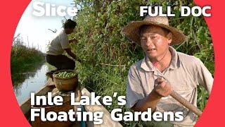 Inle Lake: A Sanctuary of Burmese Tradition and Thriving Nature | SLICE | FULL DOCUMENTARY