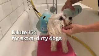 Davis Grubby Dog Shampoo