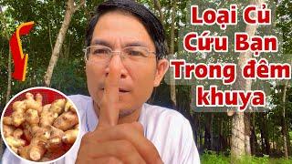 Loại Củ Cứu Bạn trong đêm khuya . PHAN HẢI Channel