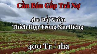 Sốc: Bán Đất Đắk Nông 150m Mặt Tiền Bê Tông – Đất Thích Hợp Trồng Sầu Riêng!