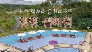 양양여행ㅣ최고급 럭셔리 온천리조트 양양 설해원 후기ㅣ마운틴스테이 클래식A타입ㅣ인피니티풀