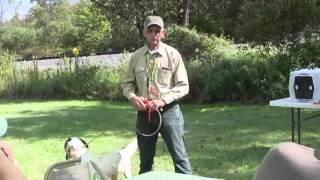 Commands and Cues for Dog Training  with Ed Rader (Pro Dog Trainer and Innotek Founder)