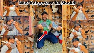 New Kabootaro Ka Shokh Kara Diya Aaj ️| New Kabootaro Ko Dekho Lo Ap Sabhi ️