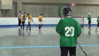 What A Goal! (Ball Hockey Skills - Alhaqq Govani) Ball Hockey Dangles Skills Tricks Dekes Goals