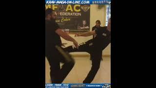 #Shorts KRAV MAGA SEMINAR MILANO ITALY 2015