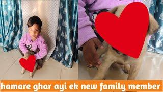 Hamare ghar ayi ek new family member || Sona ne kiya lufi ko preshan|| Akku lifestyle vlogs