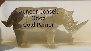 Aunéor Conseil devient Gold Partner Odoo