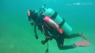 TEAM DIVE  HOLIC  다이브홀릭 스쿠버 다이빙투어 제주도다이빙 국내다이빙 1일차