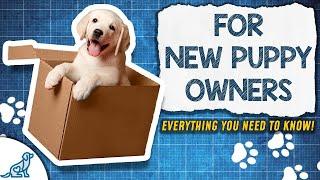 The Puppy Training Blueprint