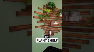 DIY Plant Shelf Slat Wall #diy #homerenovationideas #diyprojects #plants #home #homedesign #homereno