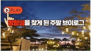 자기계발-05) 방향성을 찾게 된 주말브이로그