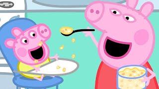 Peppa Pig Full Episodes | Baby Alexander | Cartoons for Children