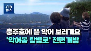 [자막뉴스] 충주호에 뜬 악어 보러가요...'악어봉 탐방로' 전면개방