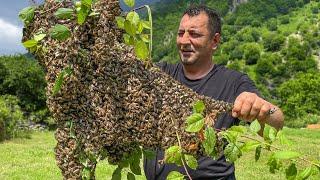 Collecting Homemade Village Honey And Cooking Stewed Chicken With Pasta