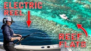 Electric Reel fishing | Incredible Reef Flats