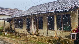 Walk in Heavy Rainfall in the Village Life | Cozy and Relaxing Vibes for a Perfect Nap.